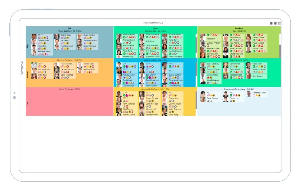 Performance and Potential Matrix&nbsp;